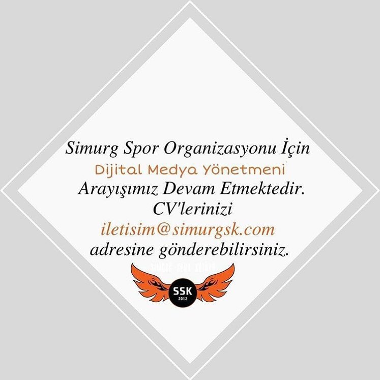 ajanskurdu