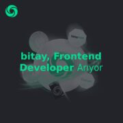 Bitay Türkiye, Frontend Developer Arıyor,
